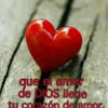 mechy081057